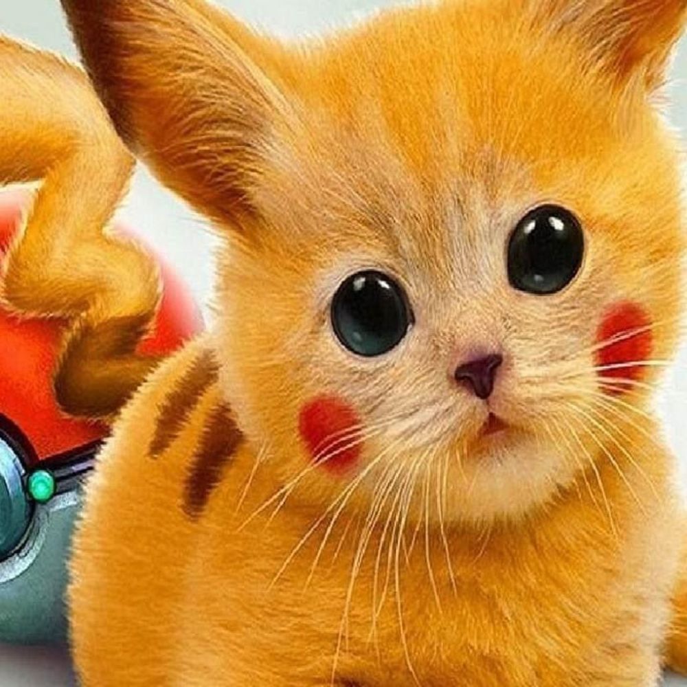 Meet your Posher, Victoria-ann